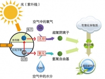 好的光觸媒甲醛治理產品需要具備什么核心？