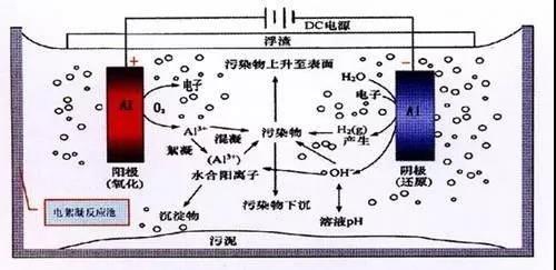 我買了一個甲醛檢測儀，吹口氣后發(fā)現原來我才是“地表最強”污染源！