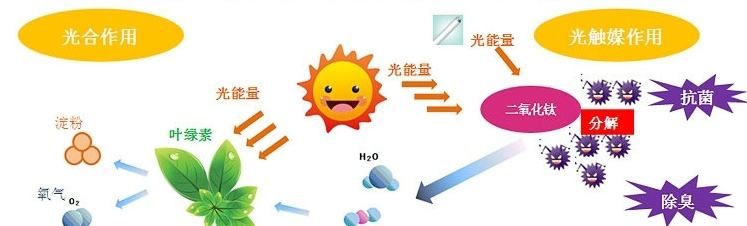 甲醛治理用什么辦法最正確？這三點常見的除甲醛辦法其實是誤區