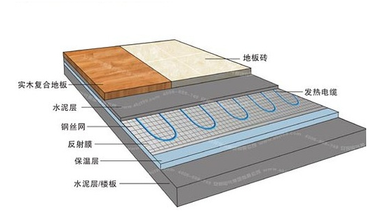 冬季，它們成了甲醛的幫兇