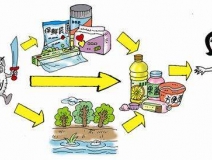 食品中有塑化劑嗎？這些食品中含有大量塑化劑，食用時一定要注意！