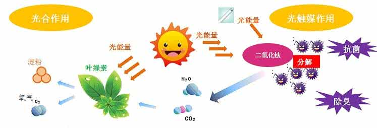 家中甲醛超標(biāo)，什么才是甲醛治理的正確姿勢(shì)？